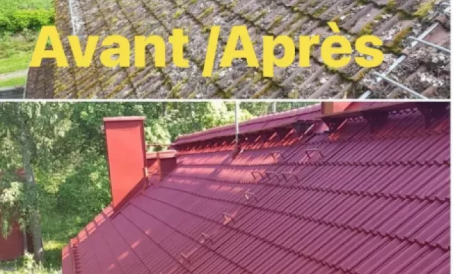 Nettoyage de toiture, Forbach, Entreprise Kreizer